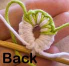 Multi coloured crotat back